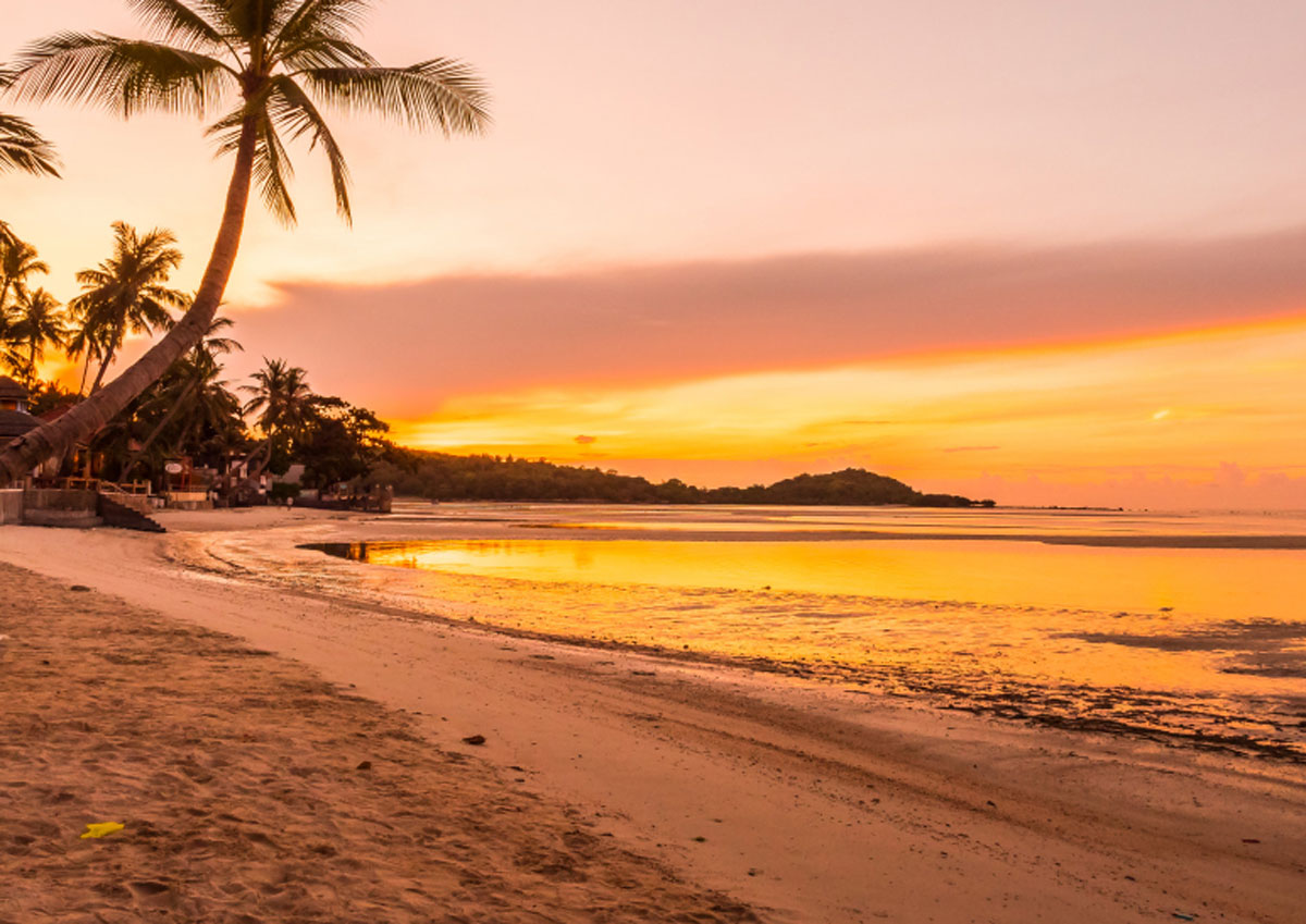 Menikmati Keindahan Sunset dan Sunrise di La Surf Bungalow Krui Lampung