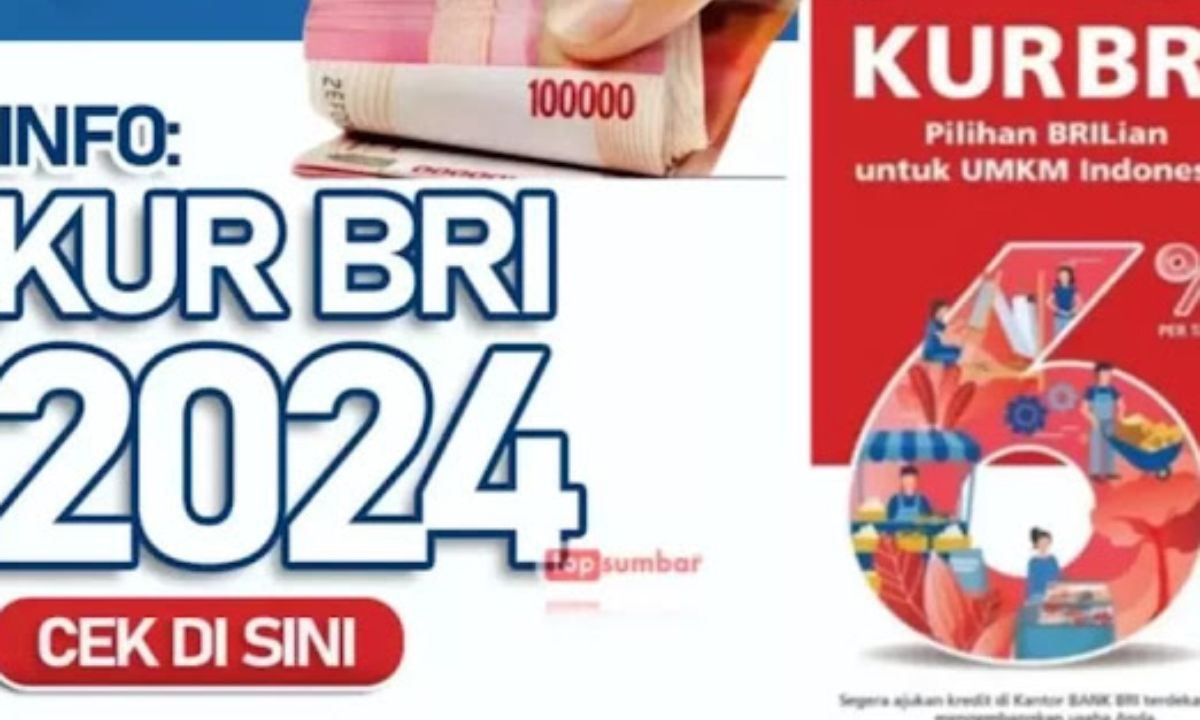 KUR BRI, Solusi Permodalan UMKM: Mudah dan Terjangkau