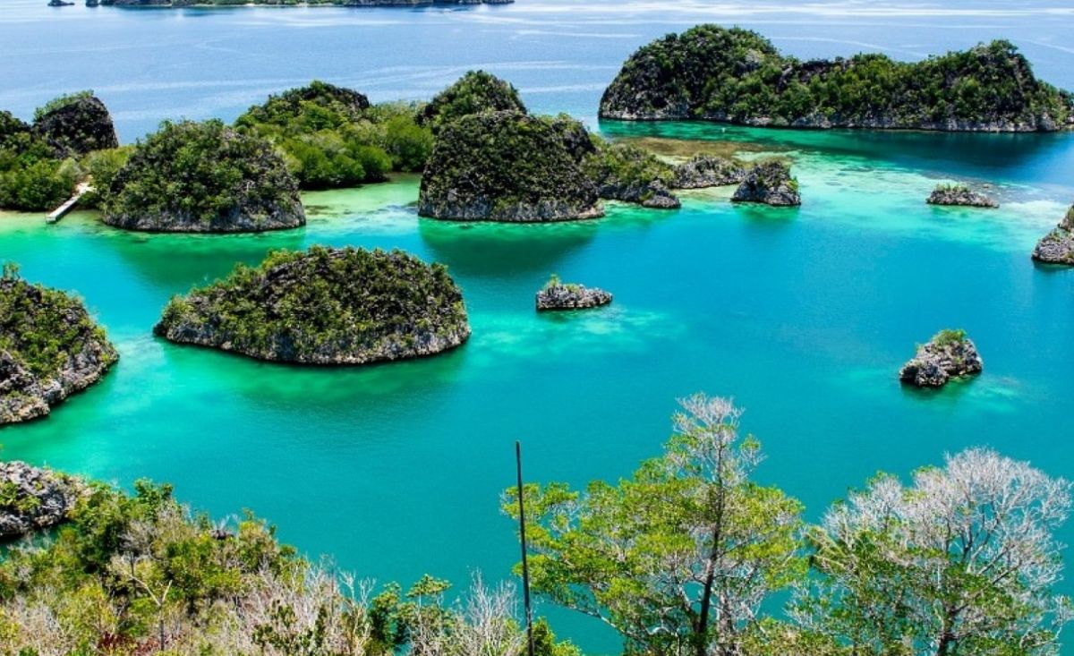 Buruan Cek! Potensi Wisata Sumatera Selatan ke Kancah Internasional: Apakah Siap Saingi Bali dan Jogja?