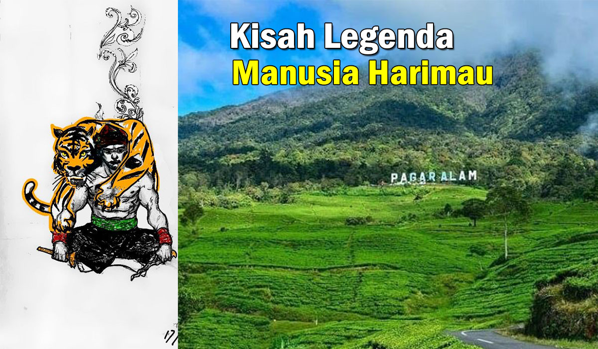 Gunung Dempo: Kisah Ajaib Sejarah, Legenda, dan Manusia Harimau di Tanah Sumatera Selatan, Mengensankan !