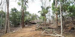 Unik! Bukan 6 Ternyata 7 Kepala Keluarga Penghuni Kampung Pitu di Gunung Kidul, berikut Kisahnya?