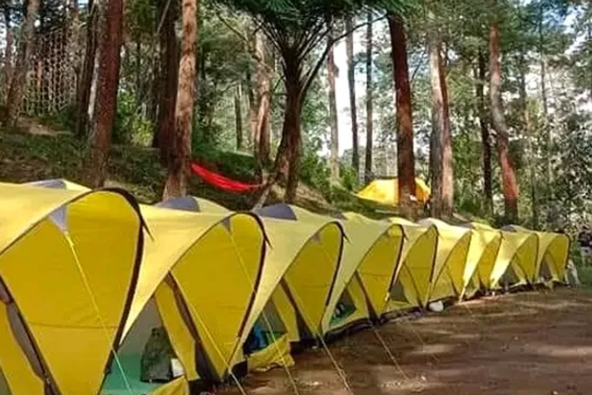 Ciwangun Indah Camp: Hidden Gem di Lembang yang Menyuguhkan Keindahan Alam Sejati