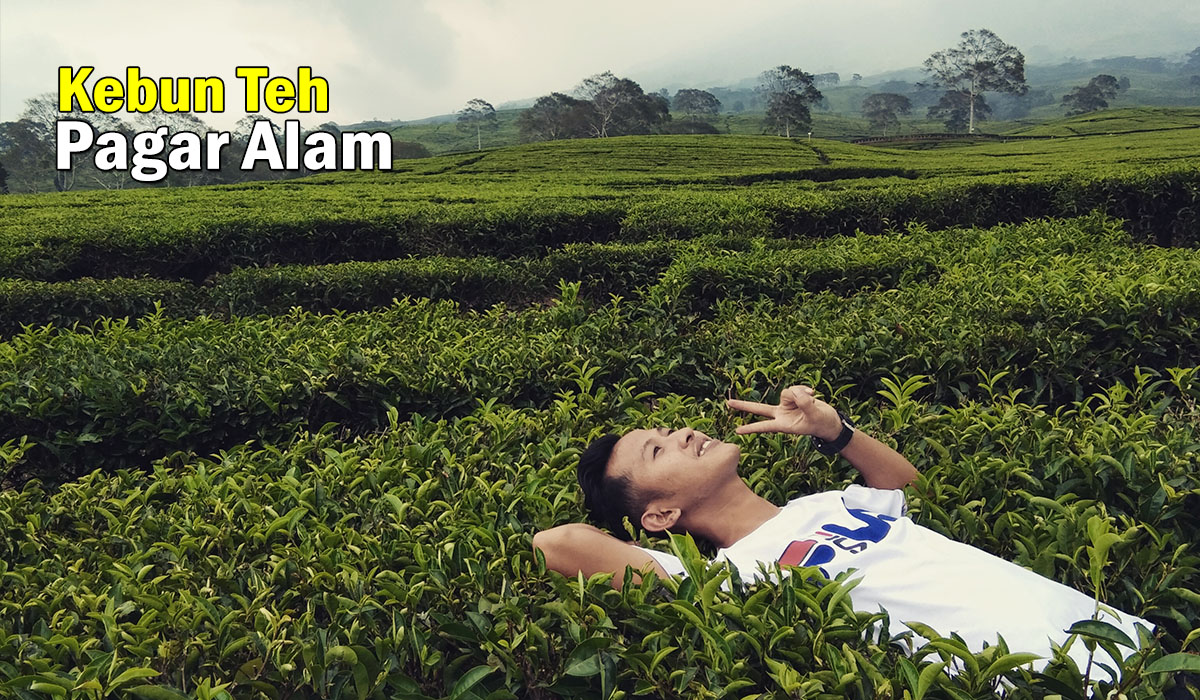 Selain Kebun Teh! Ada Destinasi Wisata Dusun Camp Pagar Alam yang Terpopuler, Liburan Tahun Baru Pas nih!