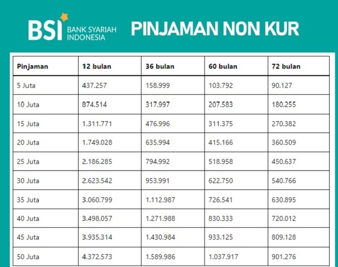 Simulasi Angsuran dan Syarat Pinjaman Non KUR BSI Plafon Rp50 Juta Tahun 2025