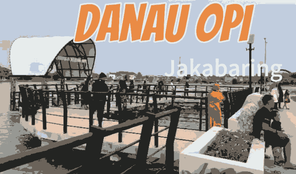 Ternyata Ada Surga Tersembunyi di Palembang! Inilah Pesona Danau Opi Jakabaring yang Bikin Tenang Jiwa