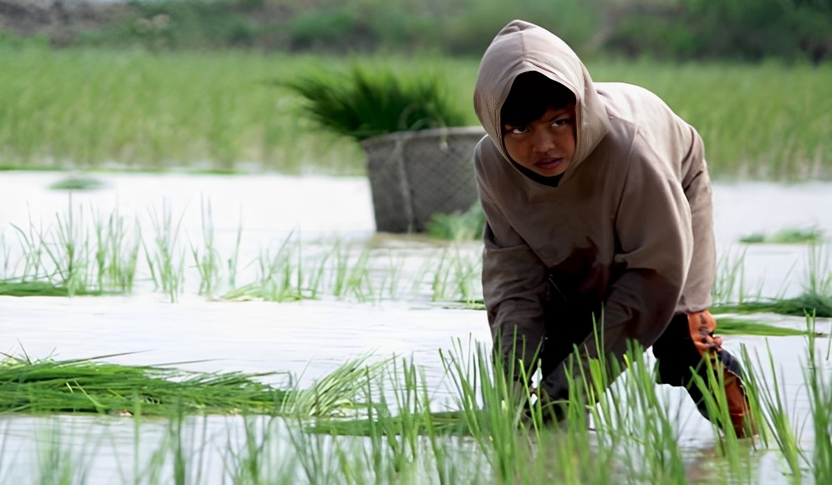 HUT Pertanian 2023: Harapan Pj Bupati Banyuasin untuk Petani, Aksi Cepat Kadis Pertanian Melawan Inflasi