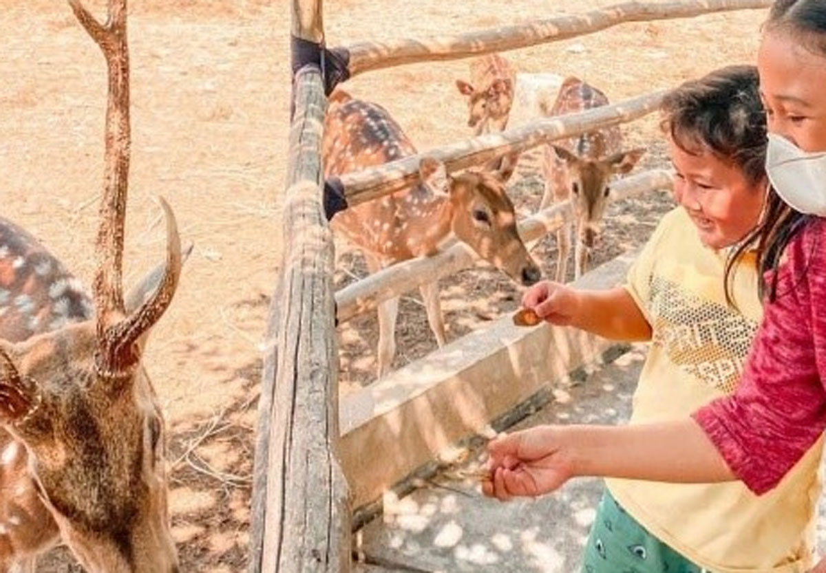 Edukasi Lingkungan dan Kesadaran Konservasi di Kebun Binatang Sriwijaya