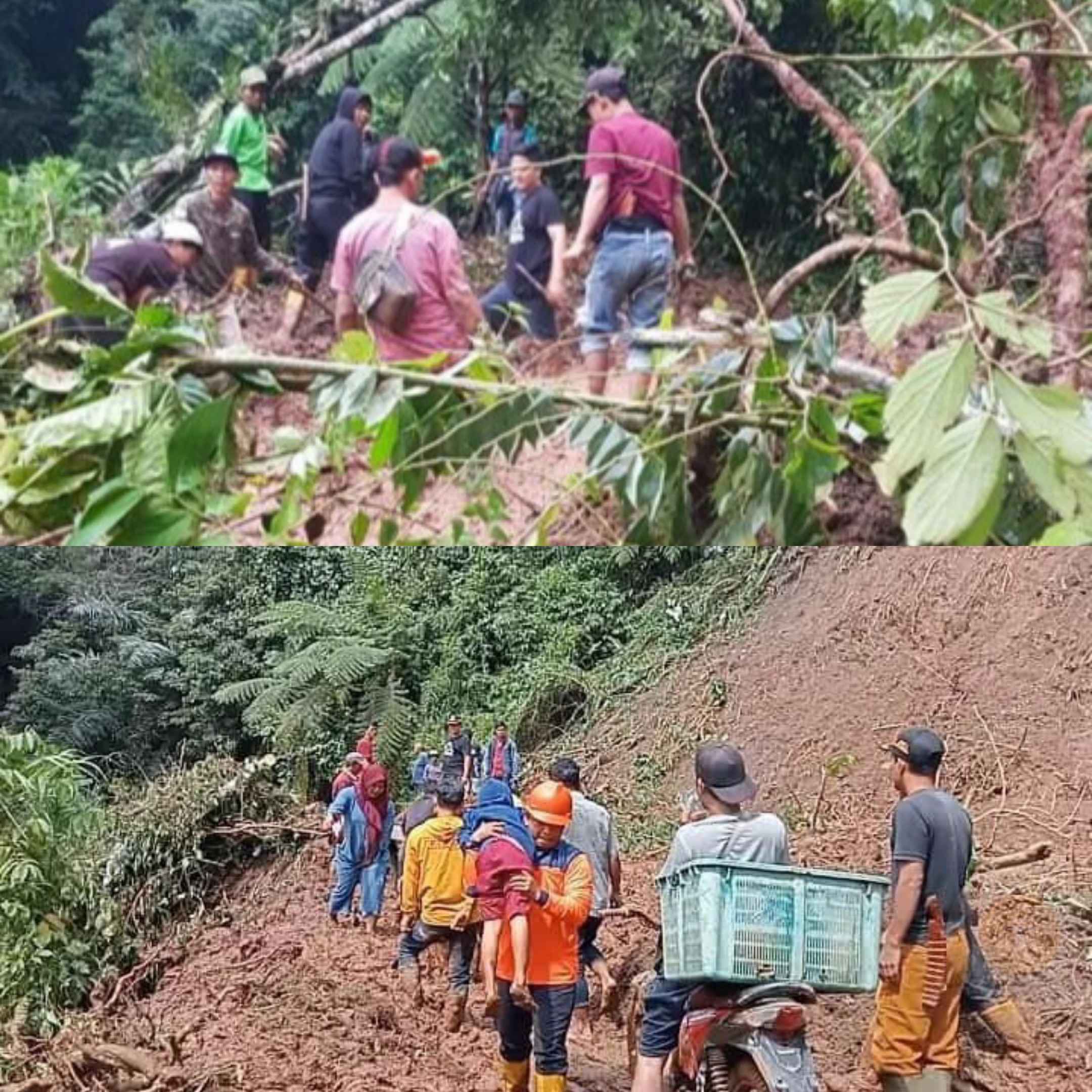 Hati-Hati Bencana Tanah Longsor di Kecamatan Pulau Beringin, Masyarakat OKU Selatan Wajib Waspada