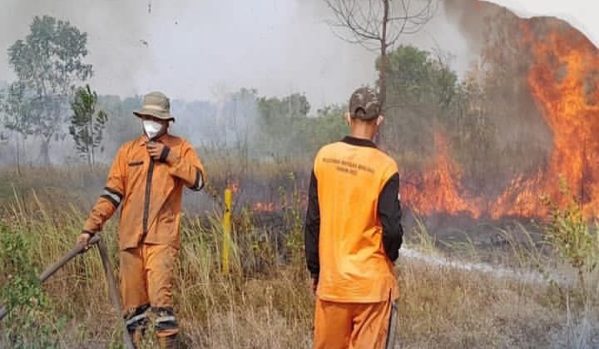 Luas Kebakaran Hutan dan Lahan di Sumsel Meningkat Drastis 32.496 Hektar Terbakar