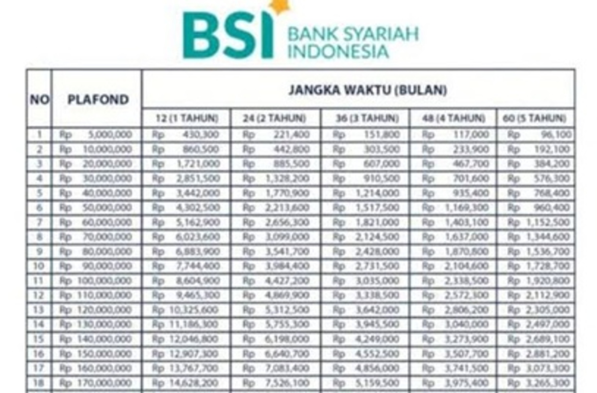 Simulasi Pinjaman BSI Rp 50 Juta: KUR Mikro dan Mitraguna untuk Pegawai
