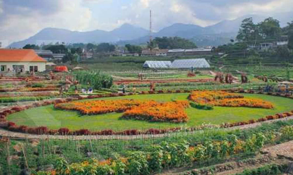 Pesona Kebun Bunga Refugia: Destinasi Agrowisata yang Menawan di Magetan