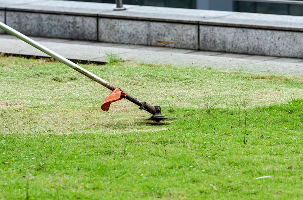  Menjaga Tampilan Luar Rumah: Tips Memotong Rumput dan Merapikan Pekarangan