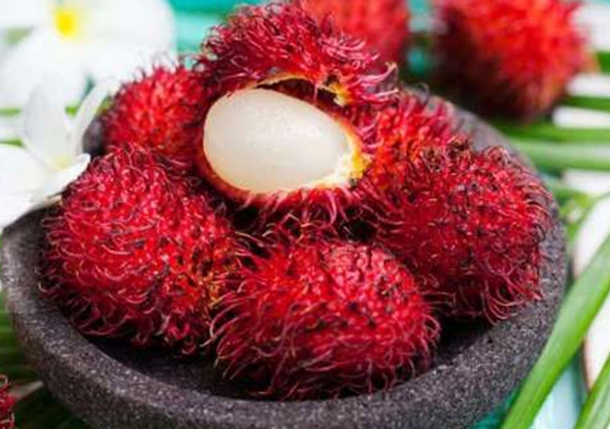 Rambutan: Rahasia Turunkan Berat Badan Secara Alami dan Lezat