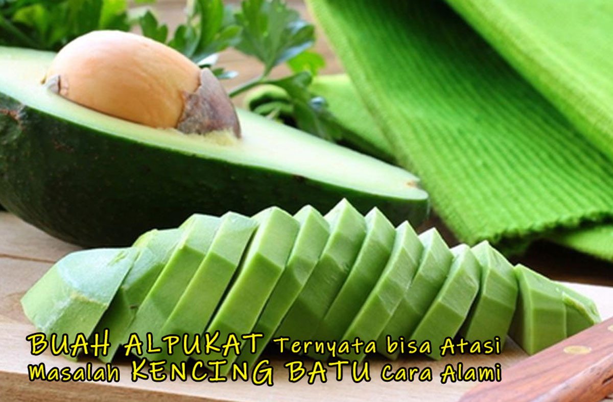 Taukah Anda! Buah Alpukat Sering Jadi Hidangan Guacamole, Ternyata bisa Atasi Masalah Kencing Batu Cara Alami