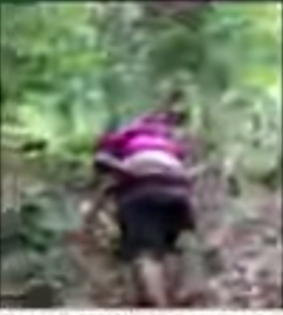 Seorang Ayah Di Seram Gendong Anak Berobat  Lewati Hutan Terjal 5 Kilometer 