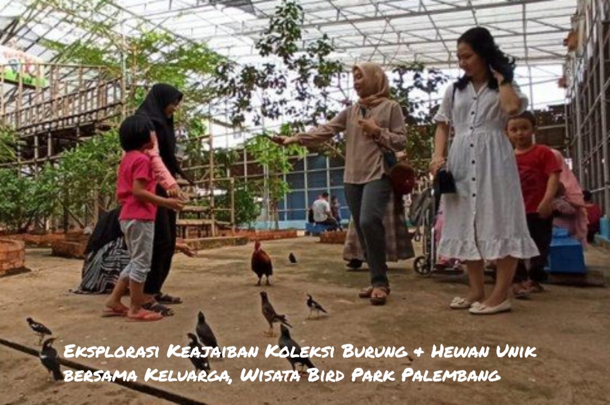 Eksplorasi Keajaiban Koleksi Burung & Hewan Unik bersama Keluarga, Wisata Bird Park Palembang, Ini Lokasinya!