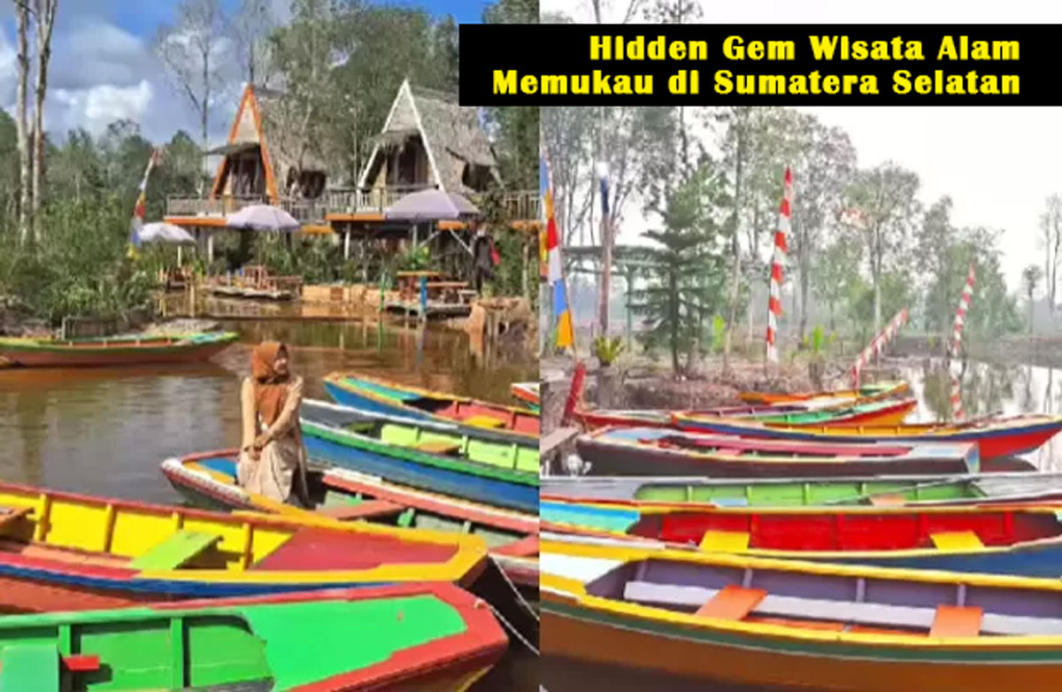 Gelam Forest Fantasi: Hidden Gem Wisata Alam Memukau di Sumatera Selatan, Patut Dikunjungi! Ini Lokasinya!