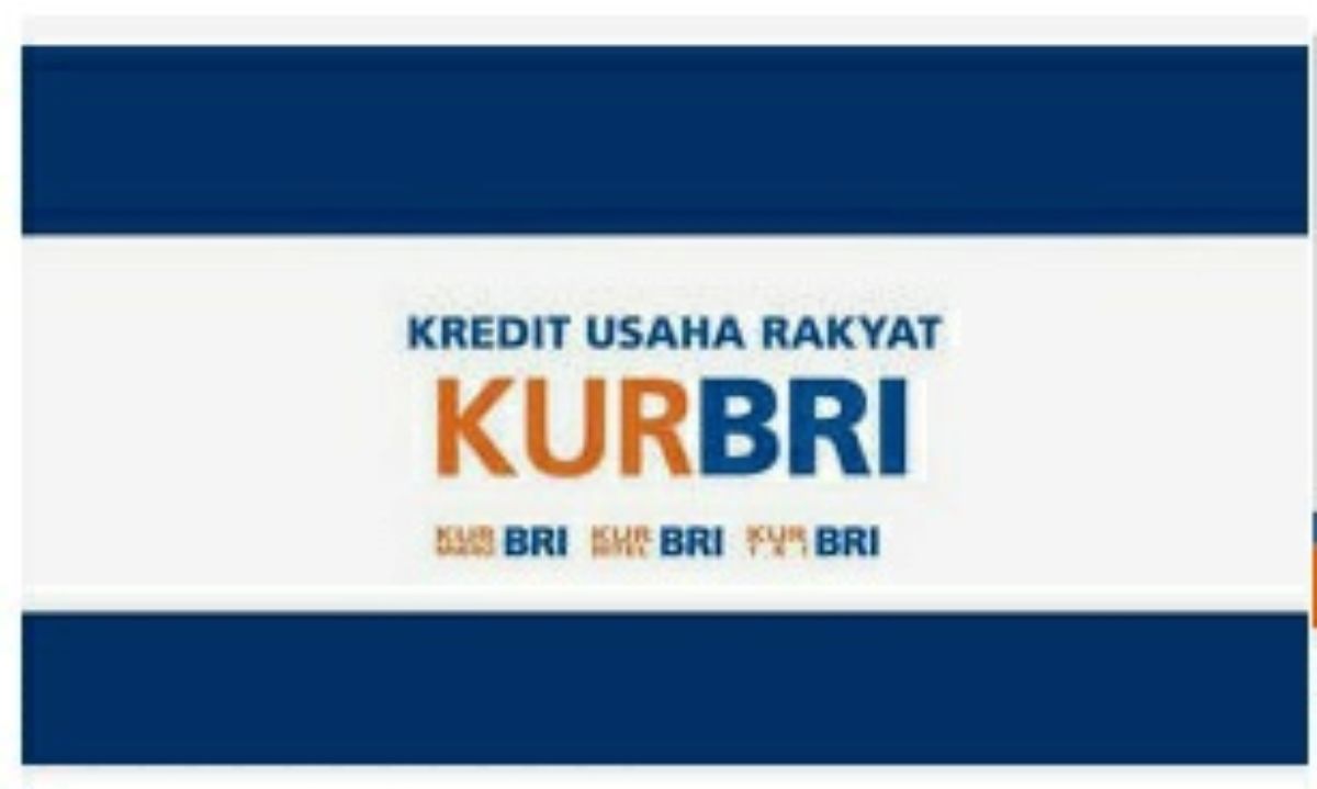 Panduan Lengkap Agar Pengajuan KUR di Bank BRI Bisa Cepat Cair