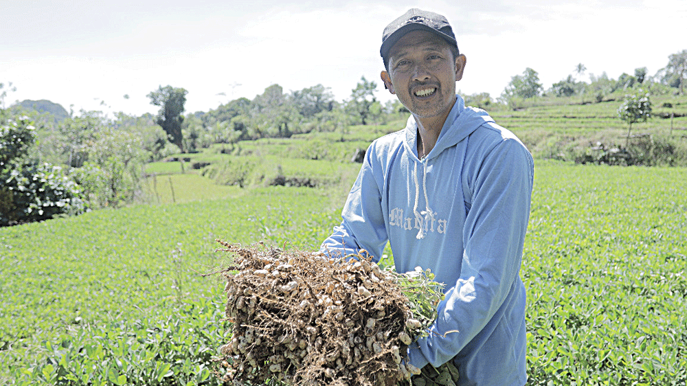 Desa Tompobulu Bersinar! Dari Saraba Daun Kelor hingga Wisata Pegunungan, Program BRI Bikin Ekonomi Desa Melon