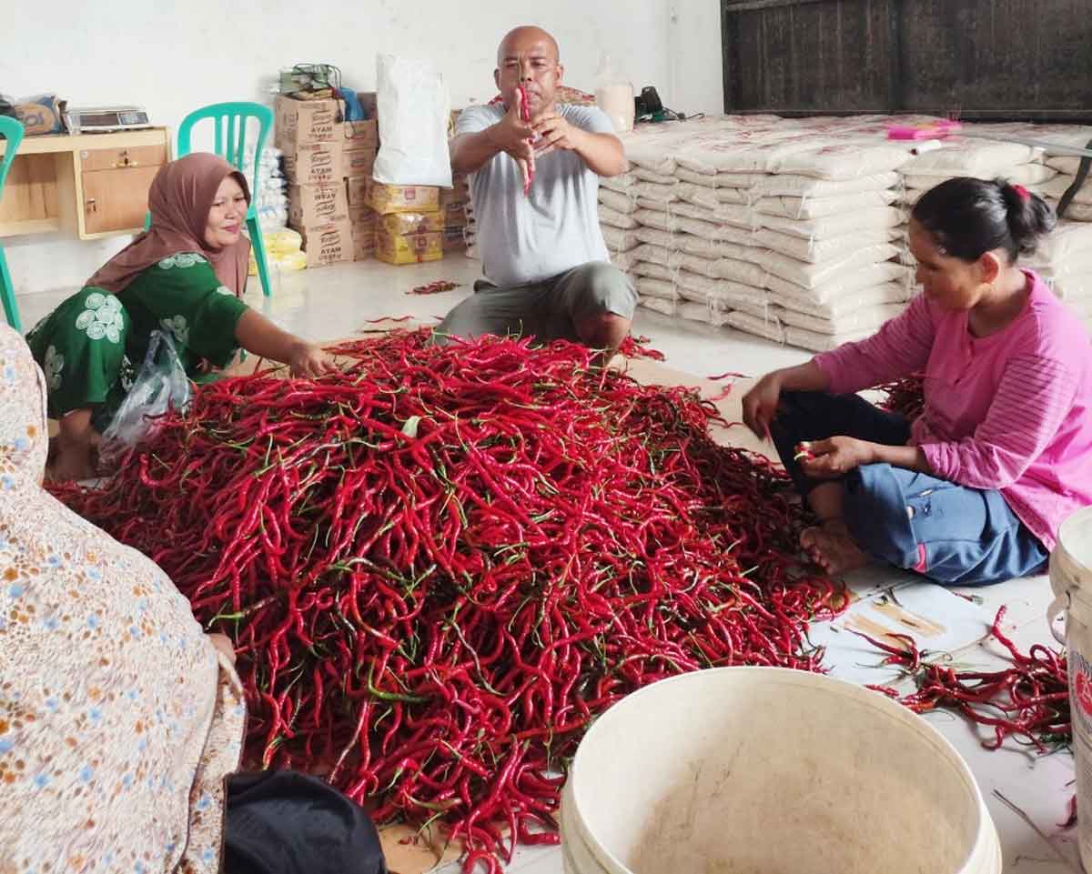 Perkuat Ketahanan Pangan dan Gizi Nasional, BRI Salurkan Pembiayaan Kepada Koperasi Penyuplai Bahan Pangan MBG