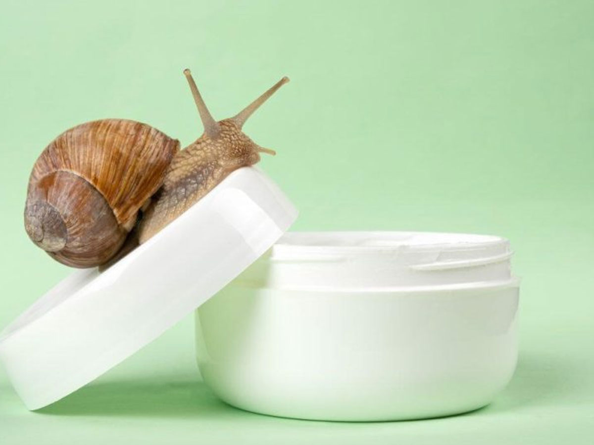 Rahasia Lendir Siput: Cegah Penuaan Dini dengan Snail Mucin yang Kaya Manfaat