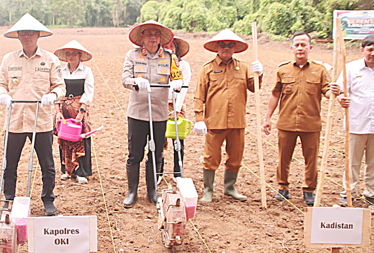 Pj Bupati dan Kapolres OKI Tanam Jagung Serentak, Dukung Ketahanan Pangan Nasional