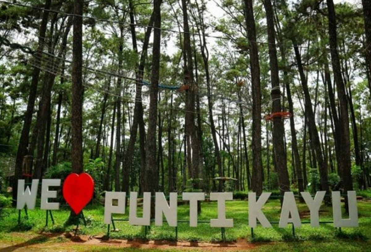 Terbenam dalam Keajaiban: Nih Dia, Pesona Hutan Pinus Punti Kayu, Oase Keindahan Alam Palembang