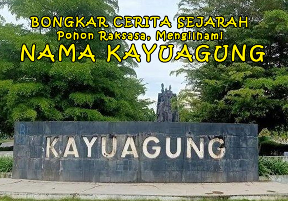 Mungkin Terlupakan! Inilah Sejarah Pohon Raksasa yang Mengilhami Nama Kayuagung, Kota di Sumatera Selatan