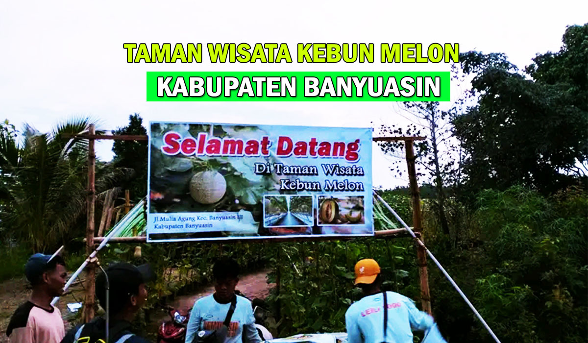 Dekat Taman Kota Pangkalan Balai! Taman Wisata Kebun Melon Jadi Incaran Wisatawan di Banyuasin, Lagi Rame Nih!