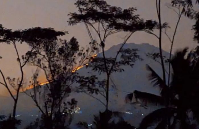 Breaking News: Kebakaran Menerjang Gunung Sumbing! Operasi Pemadam & Evakuasi Pendaki dalam Aksi Heroik