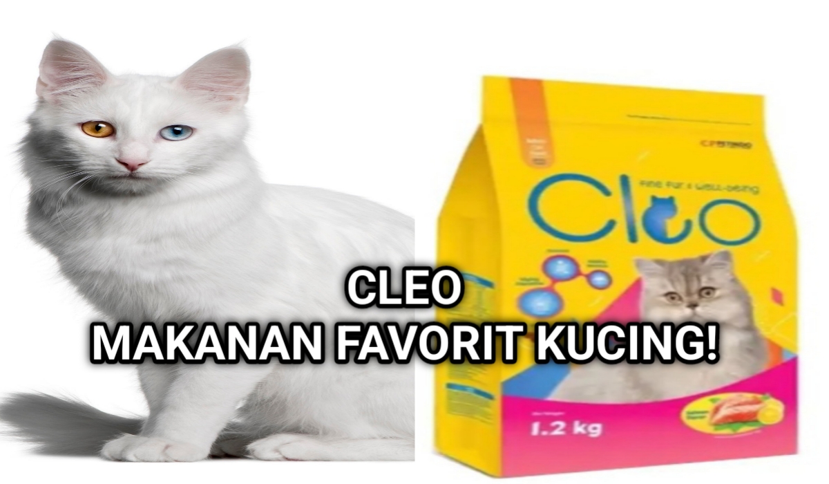 Cleo Adult Cat Food Salmon: Pilihan Premium untuk Kesehatan Kucing Kesayangan Anda! 