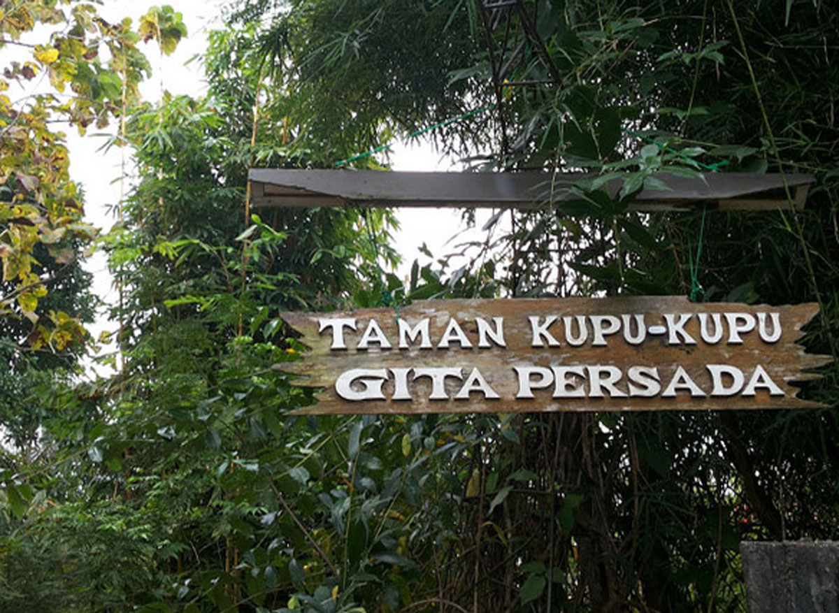 Taman Kupu-kupu Gita Persada: Surga Indah di Tengah Hutan Lampung