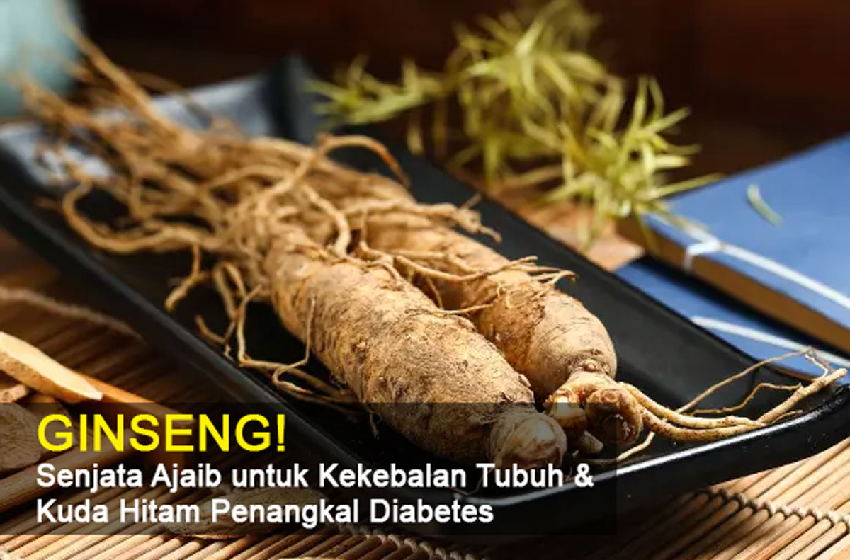 Ginseng! Senjata Ajaib untuk Kekebalan Tubuh & Kuda Hitam Penangkal Diabetes yang Wajib Kamu Coba!