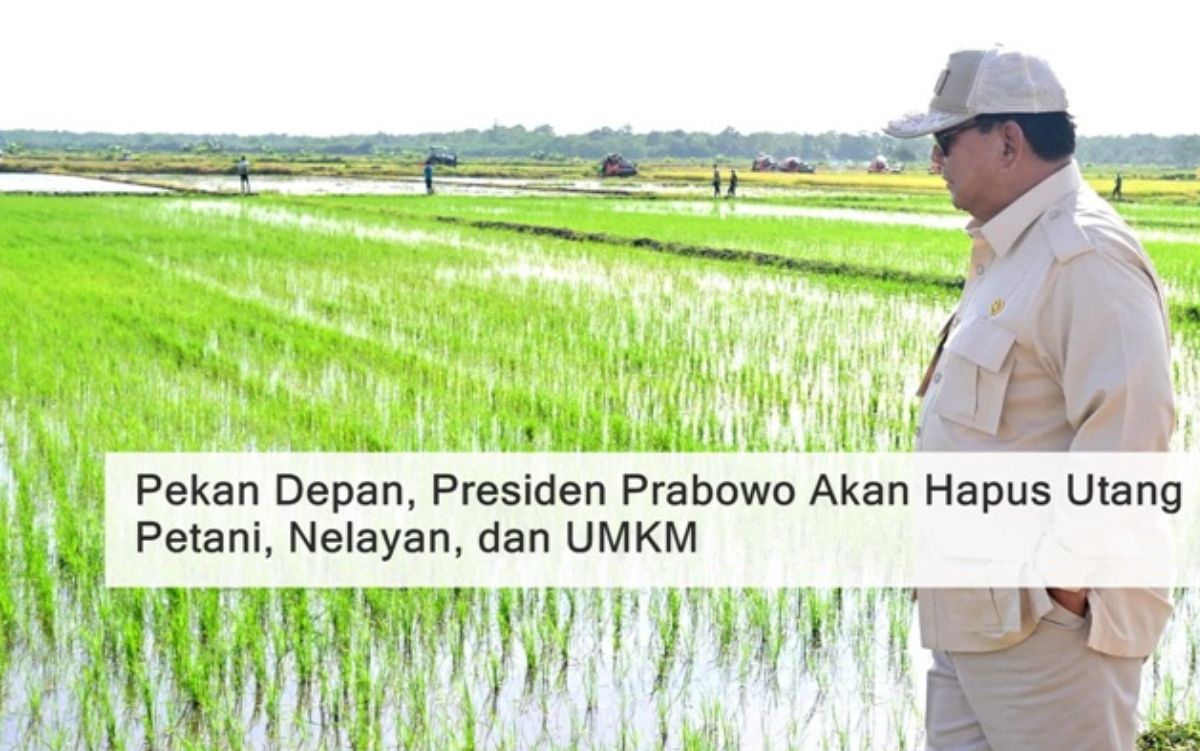 Waw! Program Penghapusan Utang Dimulai: Langkah Nyata Pemerintahan Prabowo untuk UMKM, Petani, & Nelayan!