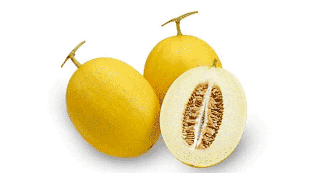 Manfaat Melon Golden yang Lagi Viral: Superfruit Manis dengan Khasiat Mengagumkan!