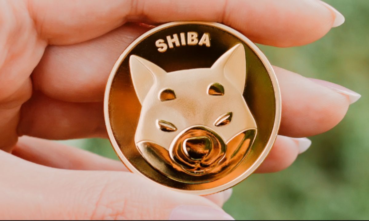 Shiba Inu (SHIB) Siap Menggeser Dogecoin (DOGE) Sebagai Memecoin Terkemuka, Ini Alasannya!