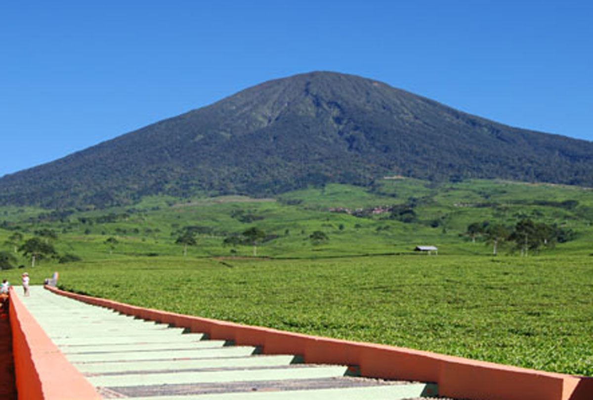 Sensasi Unik Menapaki Tangga 2001 di Gunung Dempo: Olahraga Ringan dengan Panorama Alam yang Memesona