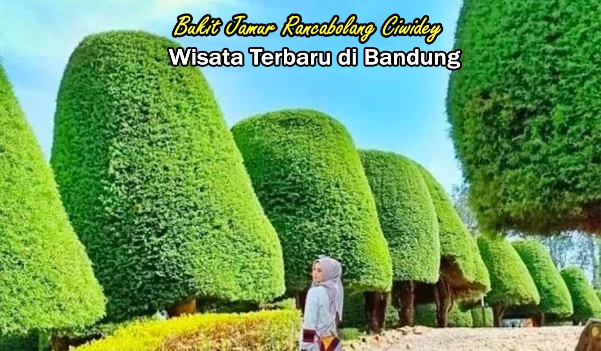 Bukit Jamur Rancabolang Ciwidey: Wisata Terbaru di Bandung yang Paling sering di kunjungi !