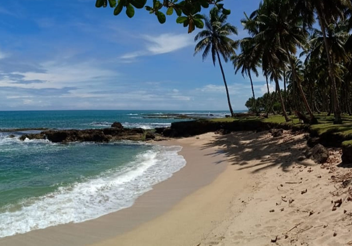 Keajaiban Biota Laut di Pantai Cukoh: Surga Tersembunyi yang Wajib Dijelajahi