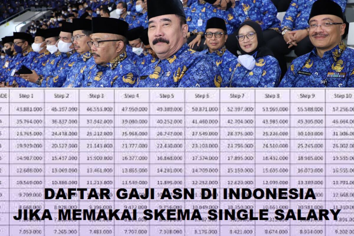 Perbedaan Gaji PNS dan PPPK Jika  Skema Single Salary Diterapkan Pada 2026