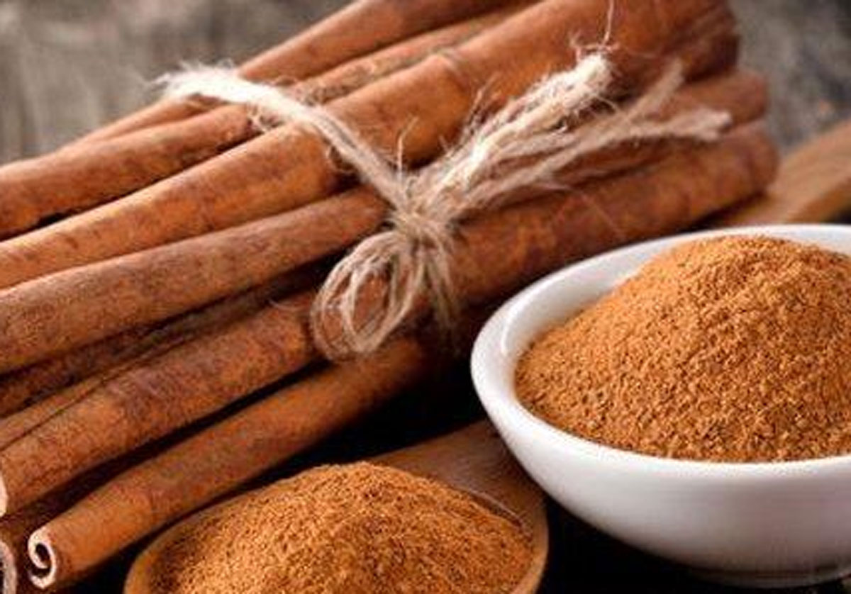 Kayu Manis dan Ginjal: Harapan Baru dari Dapur Nusantara