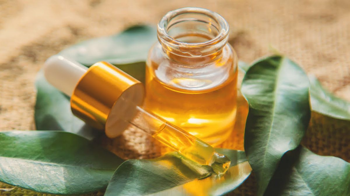 Manfaat Tea Tree Oil: Alternatif Alami yang Lebih Baik dari Obat Kimia?