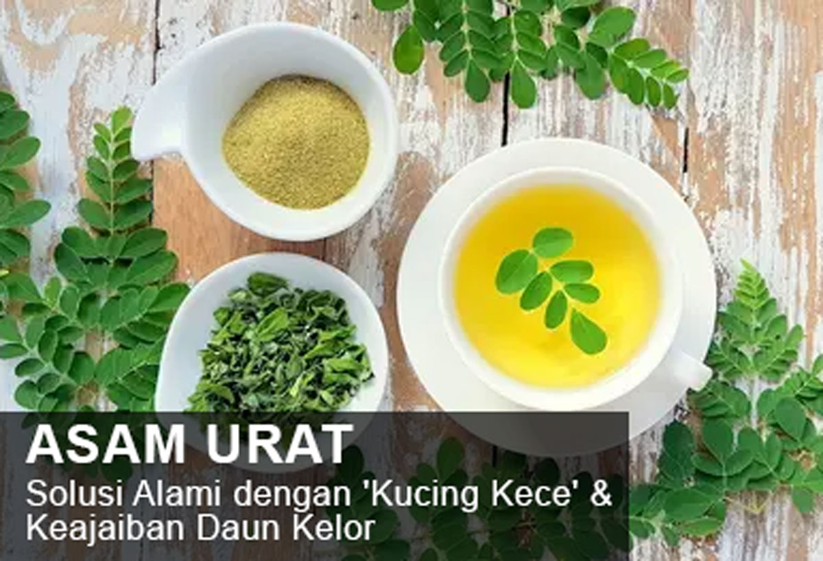 Sulit Mengatasi Asam Urat? Temukan Solusi Alami dengan 'Kucing Kece' & Keajaiban Daun Kelor - Simak Yuk!