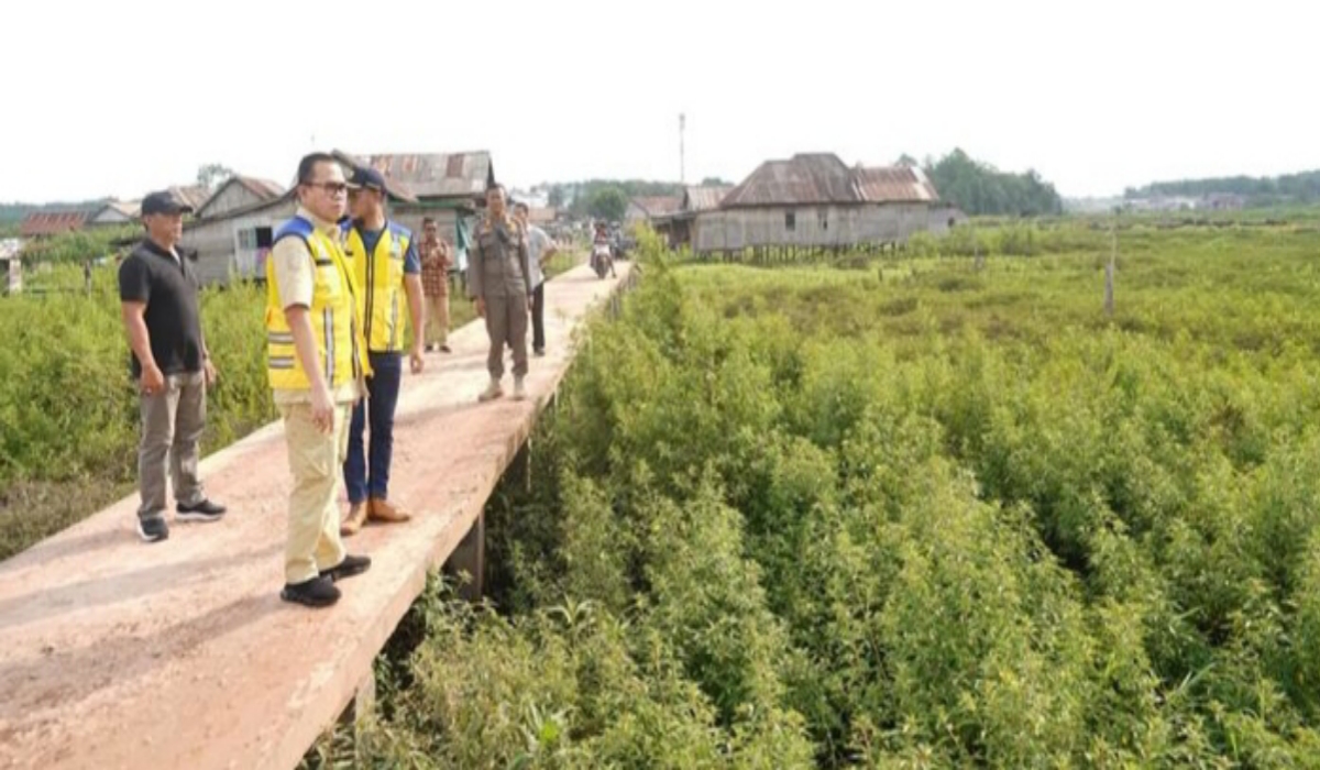 Boom Berlian Sering Banjir Hingga Rendam Rumah Warga, Pemkab Banyuasin Usahakan Sungai Dinormalisasi
