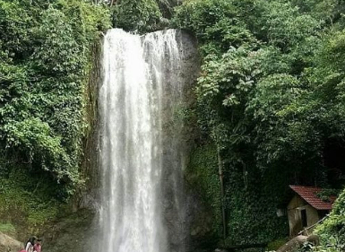 Pesona Air Terjun Tegan Kiri: Keindahan Alam Tersembunyi di Jambi