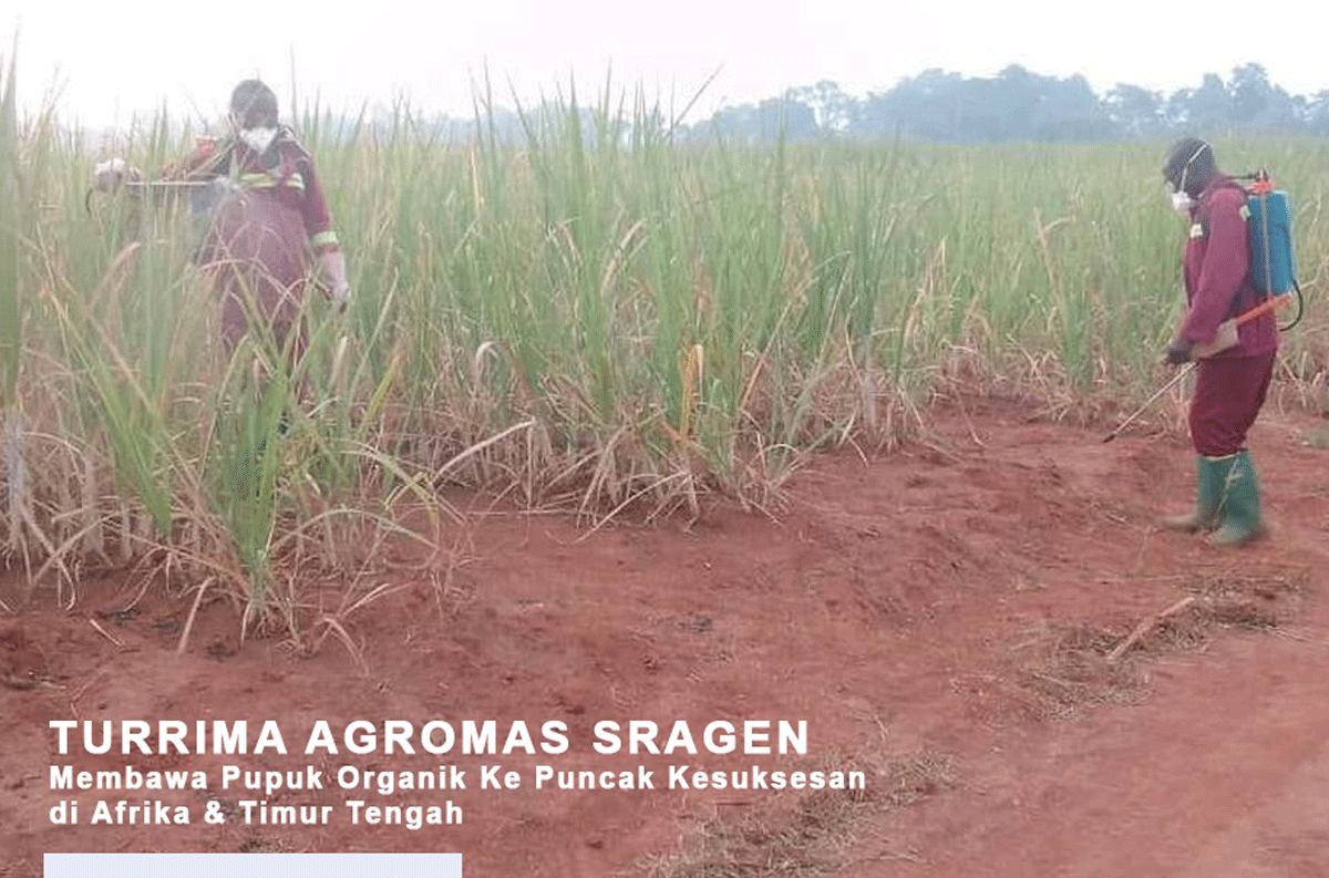 Produsen Pupuk Organik Sragen, Turrima Agro Mas, Raih Penghargaan Khusus di Kamerun