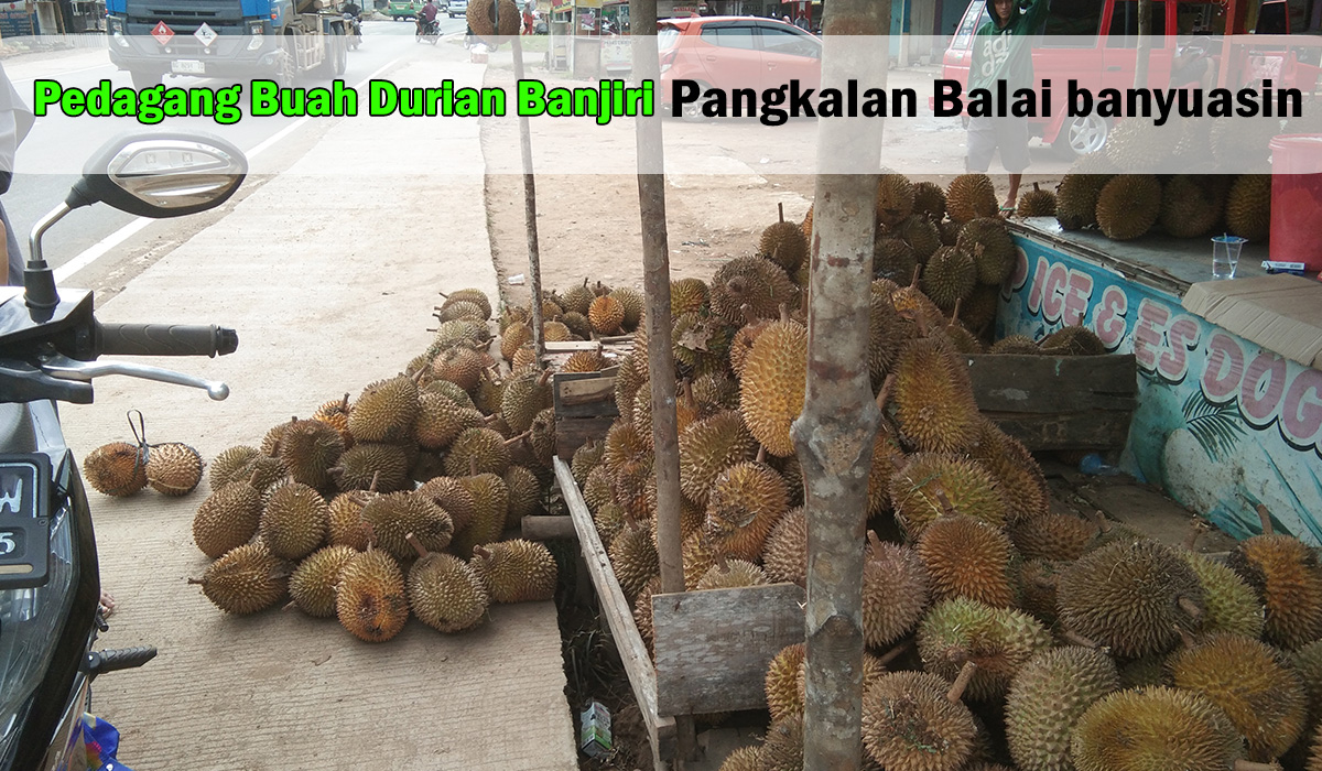 Laris Manis! Pedagang Buah Durian Banjiri Sepanjang jalan Kota Pangkalan Balai Banyuasin, dengan Harga Segini!