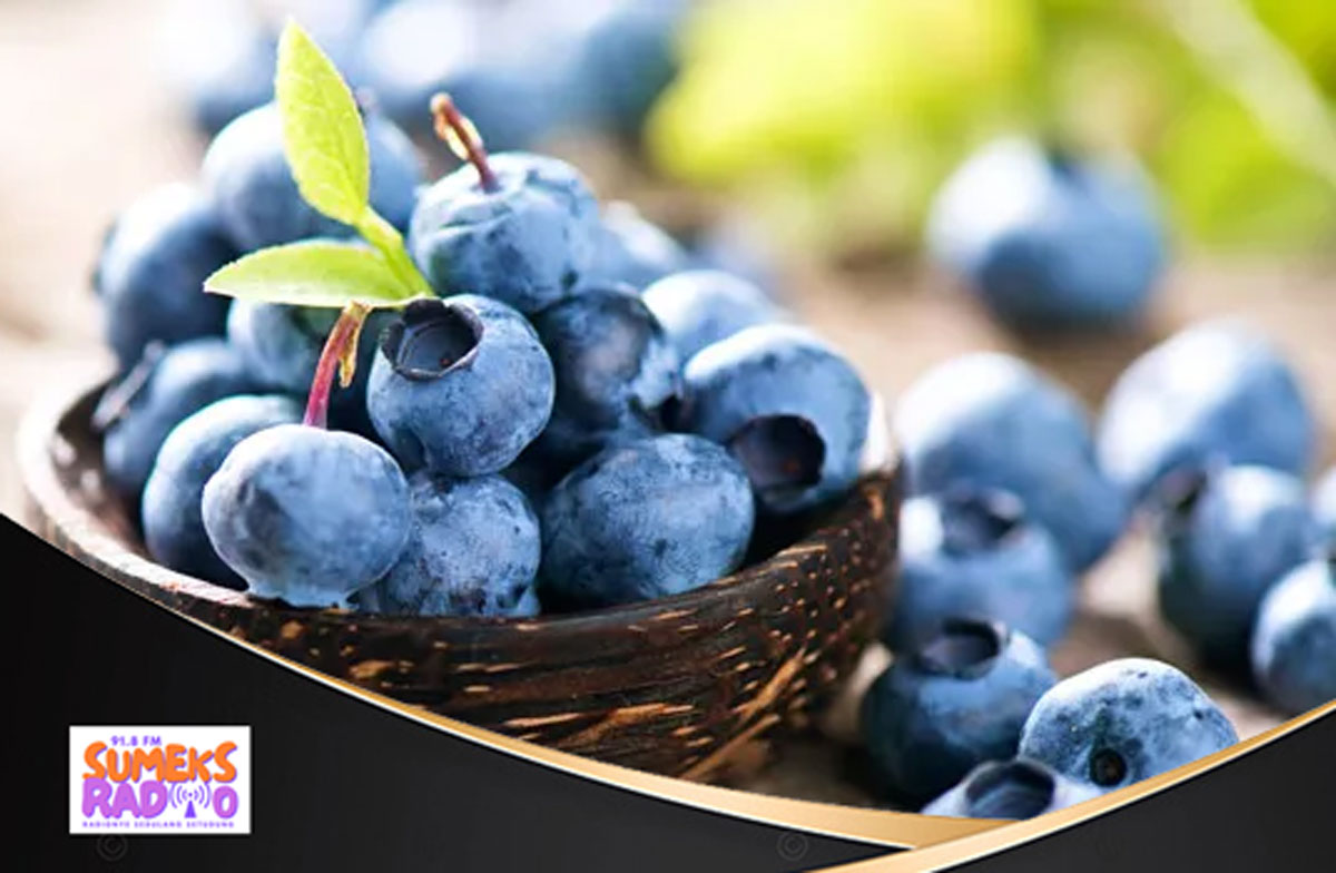 Rahasia Tersembunyi Blueberry: Antosianin dalam Jus Blueberry Mengungkap Kekuatan Luar Biasa untuk Otak Anda!