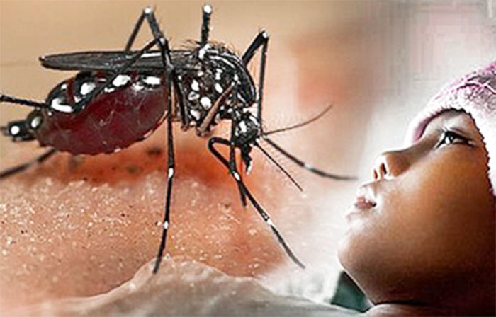 Kesadaran Masyarakat dan Langkah Pencegahan Demam Berdarah Dengue saat Cuaca Kemarau Panjang
