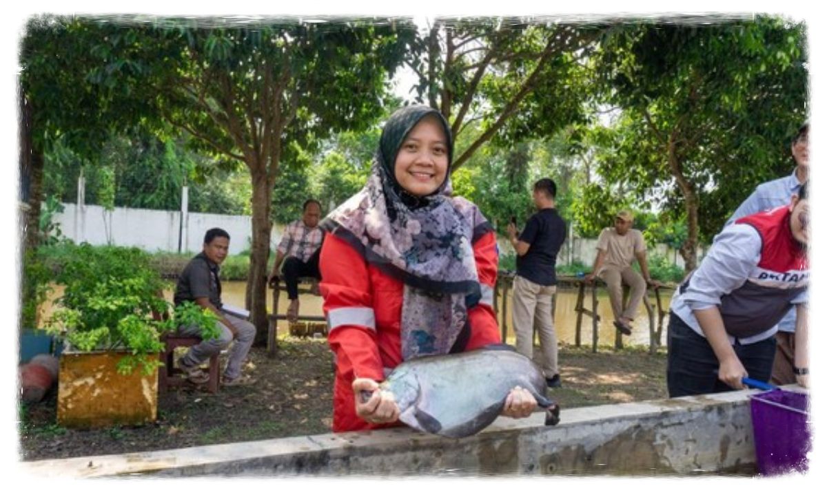 Program TJSL di Laksanakan Demi Mengatasi Populasi Ikan Belida Terus Menurun di Sumatera Selatan!